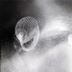 album Homoheterogeneity - raccoglimento Parziale