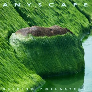 album Anyscape - Quirino Pollastrini