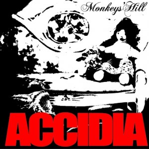album animale - monkeys'hill