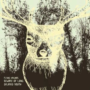 album Beware Of Long Delayed Youth - Flying Vaginas