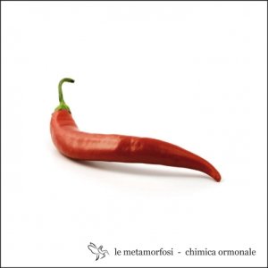 album Chimica Ormonale - Metamorfosi