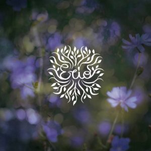 album The Reason / Torch Song - Erio