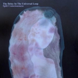 album Split Consciousness - The Delay In The Universal Loop