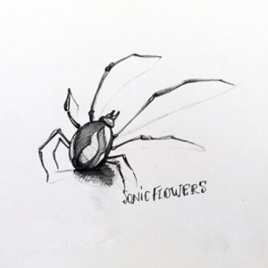 album Tana libera tutti - Sonic Flowers