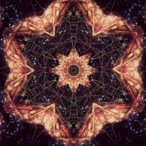 album Star of the East - Cosmic Bloom