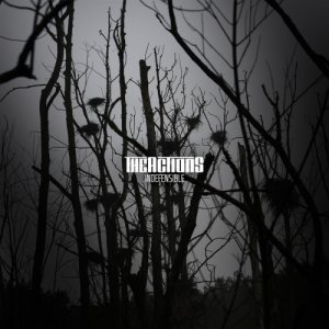album Indefensible - The Actions