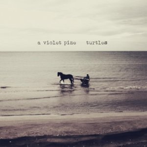 album Turtles - A Violet Pine