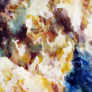 album Love and Rage - Phill Reynolds