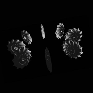album Pointers - Versailles