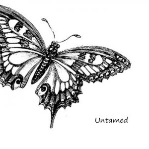 album Untamed - Vivienne the Witch