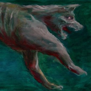 album BAB - Appaloosa