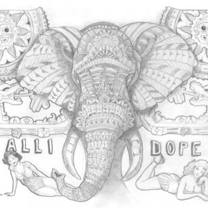 Allie's Dope Embryo copertina