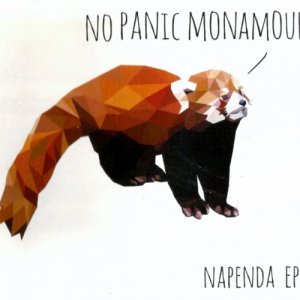 album Napenda - No Panic Monamour