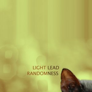 Light Lead Randomness copertina
