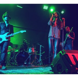album Harry's bar - Fangoraro