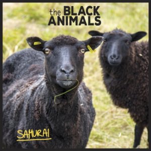 The Black Animals Samurai copertina
