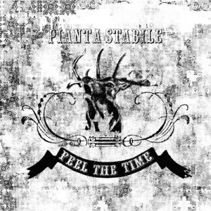 album FEEL THE TIME - Pianta Stabile