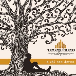 album a chi non dorme - meneguinness