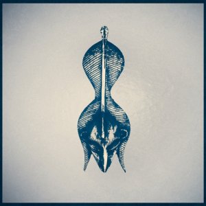 album ALLUVISION - Nic Gyalson