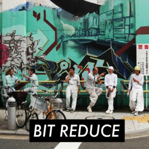 album Fine - Bit Reduce