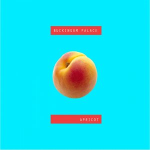 buckingum palace Apricot EP copertina