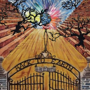 album Back to Earth - Old Rock City Orchestra