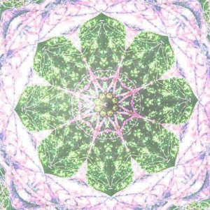 Cosmic Bloom One Second Of the Universe copertina