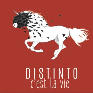 DistintO C' EST LA VIE copertina