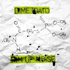 album Dimetoato - pin up noise
