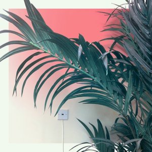 album Slow light - sonambient