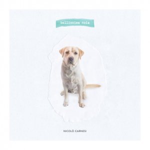 album Bellissima noia - Nicolò Carnesi