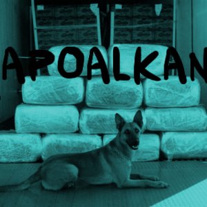 album Lapoalkann - RICOVERI MICHELE