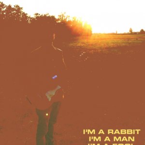 a Big Silent Elephant I'm a Rabbit, I'm a Man, I'm a Fool copertina