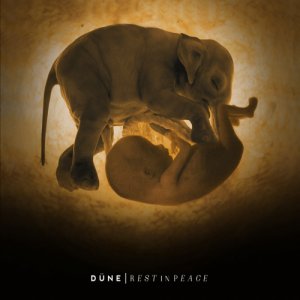 Düne Rest In Peace copertina