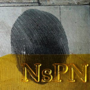 album Non Expedit - Nova sui prati notturni