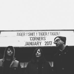 album Weird Times - Tiger! Shit! Tiger! Tiger!