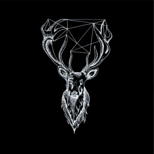 album AS YOU WALK - The Wolf And Whale
