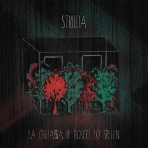album La Chitarra il bosco lo spleen - strueia
