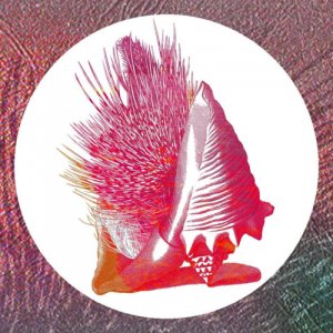 album L'orbita delle vite interrotte - The Asterhystrix