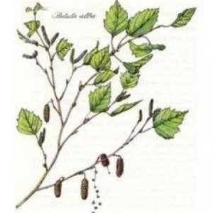 album Tu ci turbi I - Split