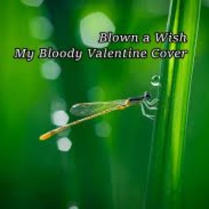 album BLOWN A WISH MY BLOODY VALENTINE COVER - Alex Snipers