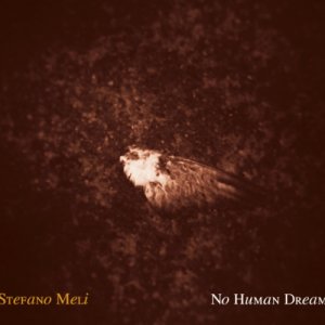 album NO HUMAN DREAM - stefano meli