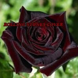 album ROLLING STONES COVER - Alex Snipers