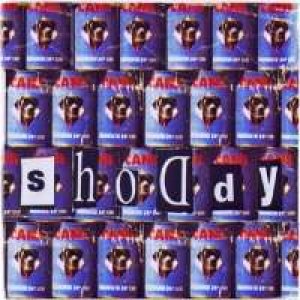 album Shoddy - 50% Wool-50% Acrylic - Francesco Sanfrancesco