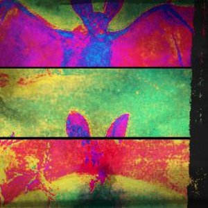 album Gusci - Porco Rosso