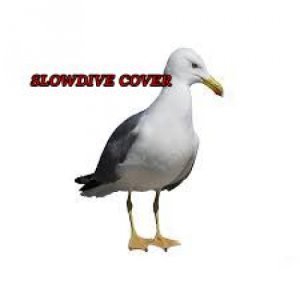 album Slowdive cover - Alex Snipers