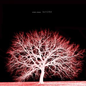 album micro - Silent Chaos