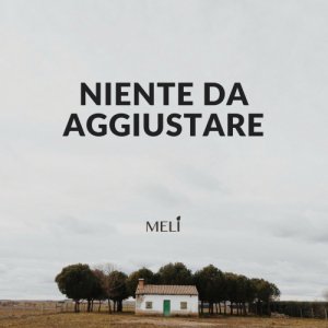 album Niente Da Aggiustare - Meli