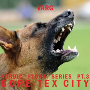 album Nordic Flora Series Pt.3: Gore-Tex City - Alessandro Cortini