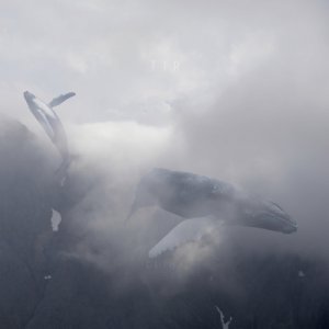 album Clima - TIR